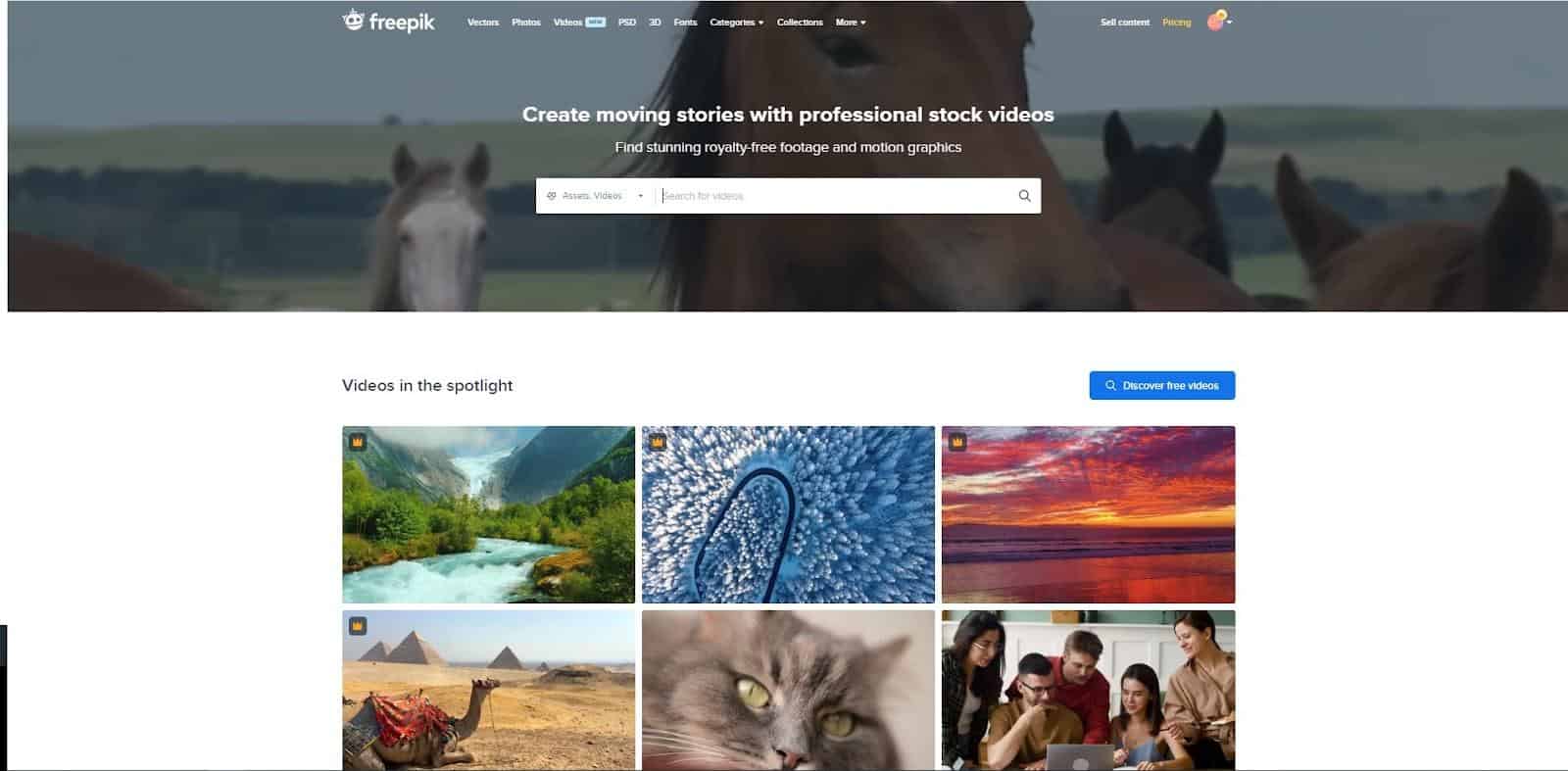 Freepik stock videos