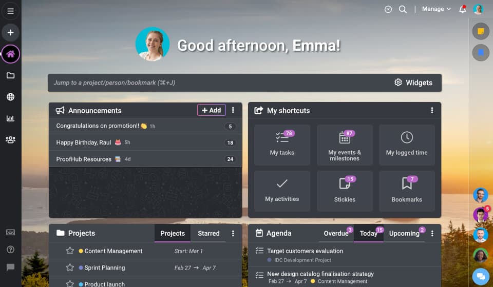 An overview of ProofHub